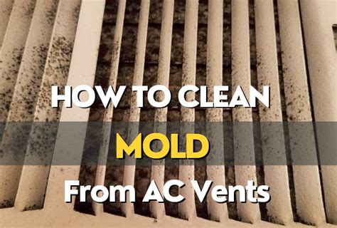 can mold build-up in my distribution box|mold in air conditioner system.